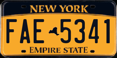 NY license plate FAE5341