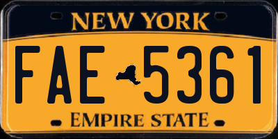 NY license plate FAE5361
