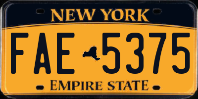 NY license plate FAE5375