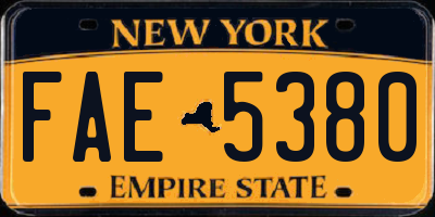 NY license plate FAE5380