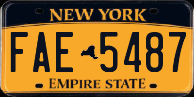 NY license plate FAE5487