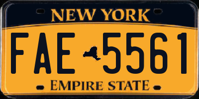 NY license plate FAE5561