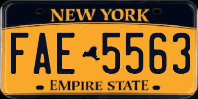 NY license plate FAE5563