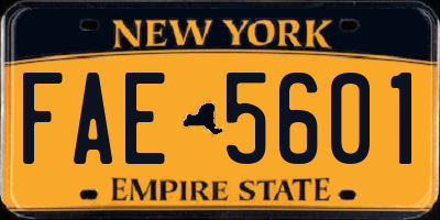 NY license plate FAE5601