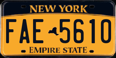 NY license plate FAE5610