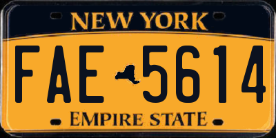 NY license plate FAE5614