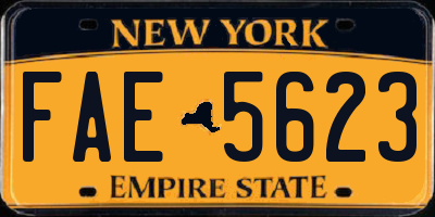NY license plate FAE5623
