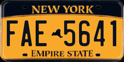 NY license plate FAE5641