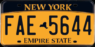 NY license plate FAE5644