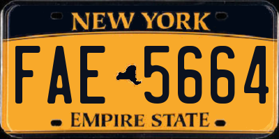NY license plate FAE5664