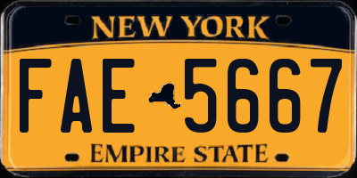 NY license plate FAE5667