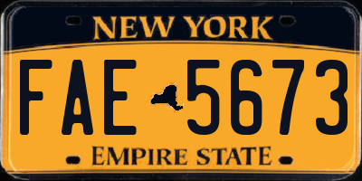 NY license plate FAE5673