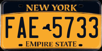NY license plate FAE5733