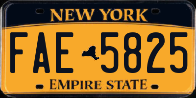 NY license plate FAE5825