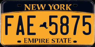NY license plate FAE5875