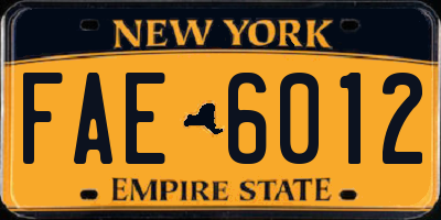 NY license plate FAE6012