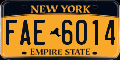 NY license plate FAE6014