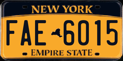 NY license plate FAE6015