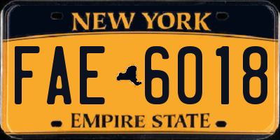 NY license plate FAE6018