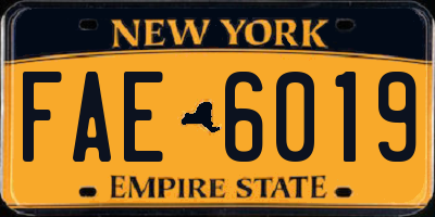 NY license plate FAE6019