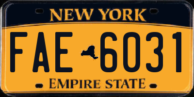 NY license plate FAE6031