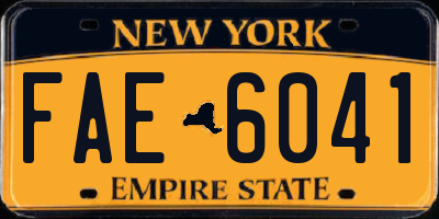 NY license plate FAE6041
