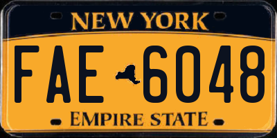 NY license plate FAE6048