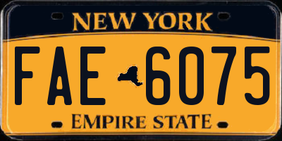 NY license plate FAE6075
