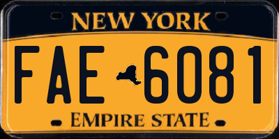 NY license plate FAE6081