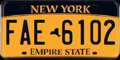 NY license plate FAE6102