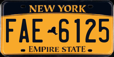NY license plate FAE6125