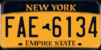 NY license plate FAE6134