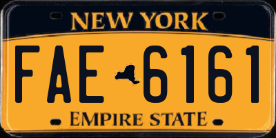 NY license plate FAE6161