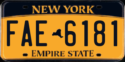 NY license plate FAE6181
