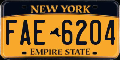 NY license plate FAE6204