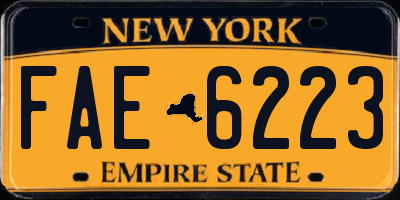 NY license plate FAE6223