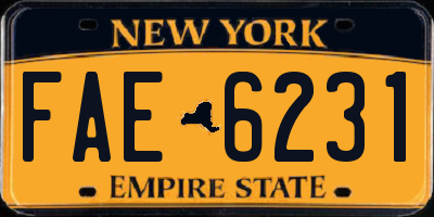 NY license plate FAE6231