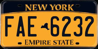 NY license plate FAE6232