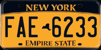 NY license plate FAE6233