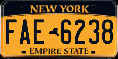 NY license plate FAE6238