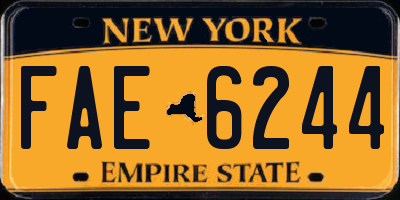 NY license plate FAE6244