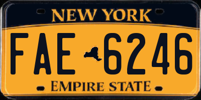 NY license plate FAE6246