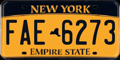 NY license plate FAE6273