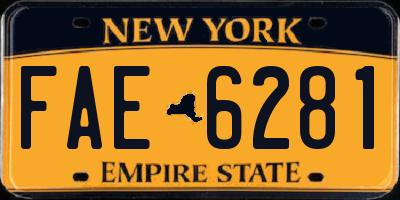 NY license plate FAE6281