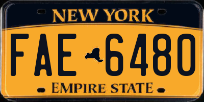 NY license plate FAE6480