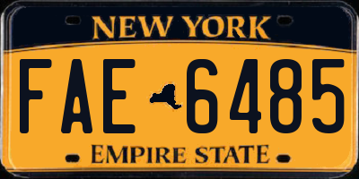 NY license plate FAE6485