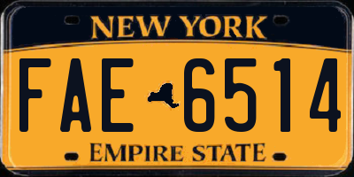 NY license plate FAE6514