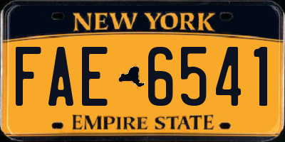 NY license plate FAE6541