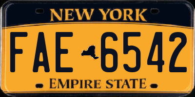 NY license plate FAE6542