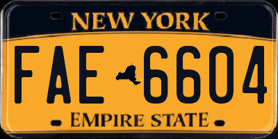 NY license plate FAE6604